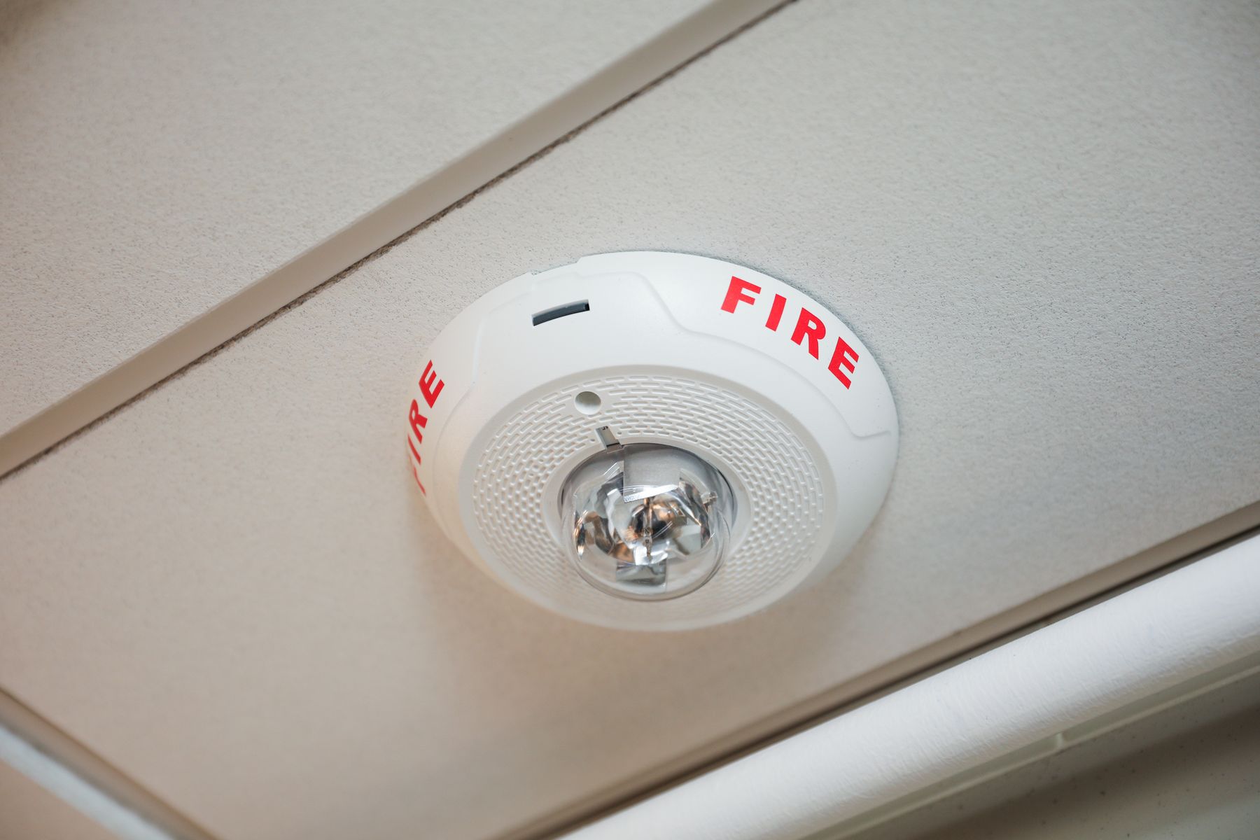 Fire alarm panel and detectors
